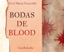 Bodas De Blood poster image